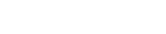 Fanatics Holdings Inc.