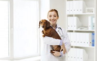 Dog-with-veterinarian.jpg