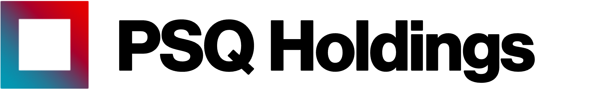 PSQ Holdings, Inc.