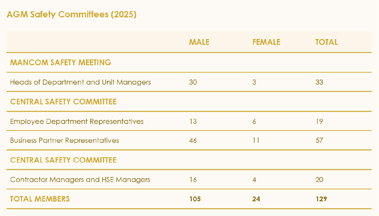 2025 AGM Safety Committees