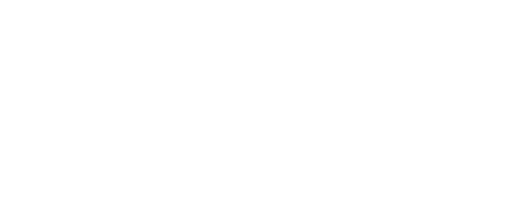 Vusion Logo